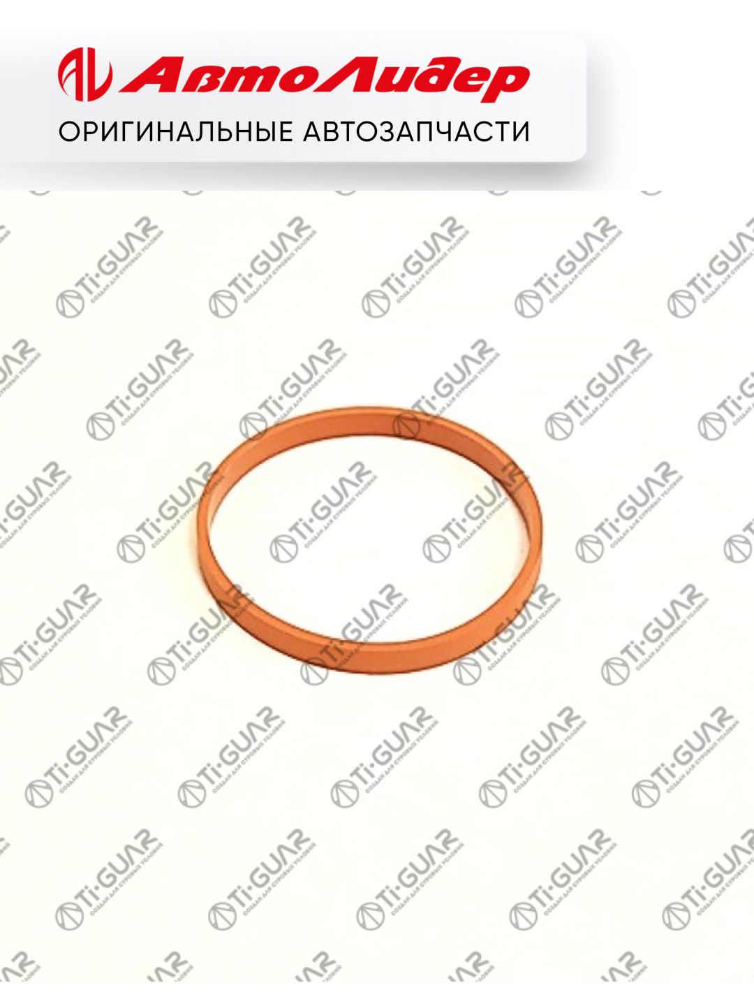 Прокладка впускного коллектора TI-GUAR /Citroen C3 C4 Peugeot 208 308 2007-; TG-IMG0188; 0348T4 895440 113763201