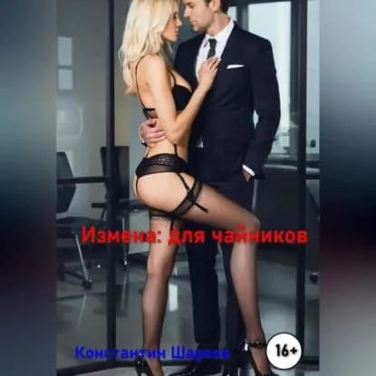 Измена для чайников | Шарков Константин | Электронная аудиокнига