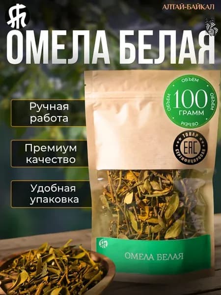 Омела белая