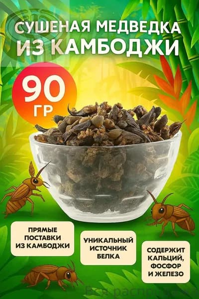 Медведка азиатская - 90 грамм