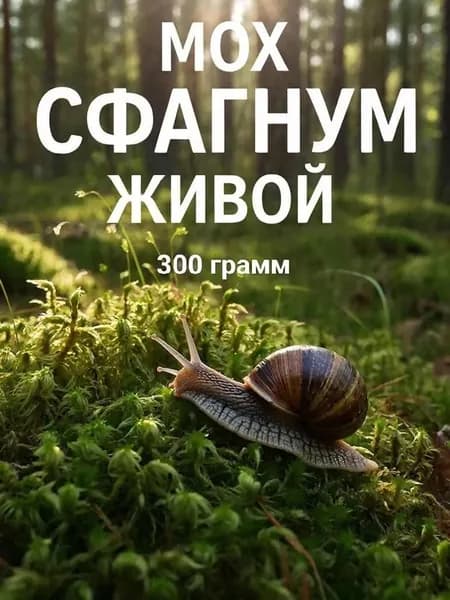 Мох Сфагнум свежий живой очищенный, 300гр