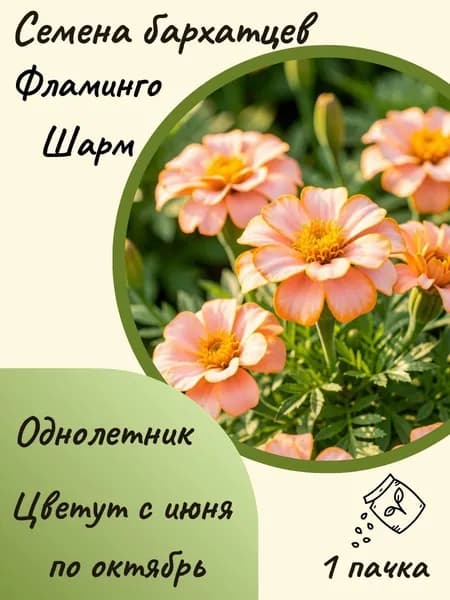Бархатцы Фламинго Шарм, 10 шт. семян