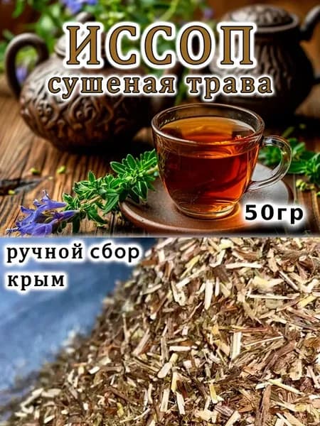 Иссоп