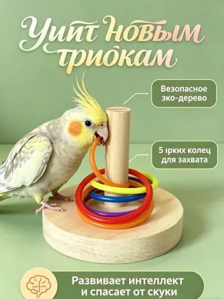 Развивающая игрушка для попугая, деревянная головоломка-пирамидка с кольцами для дрессировки, аксессуар в клетку для птиц