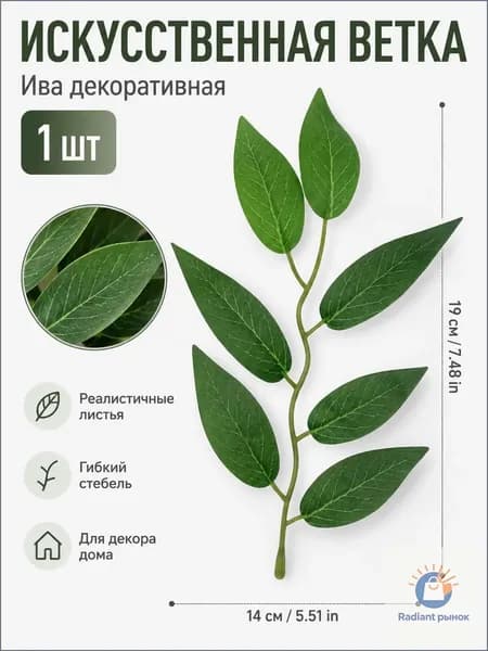 Стабилизированные цветы Роза, 65 см, 20 гр, 1 шт
