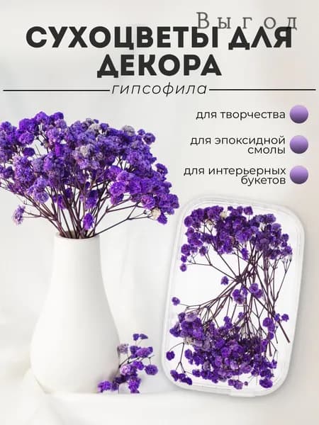 Сухоцветы Гипсофила, 1 шт
