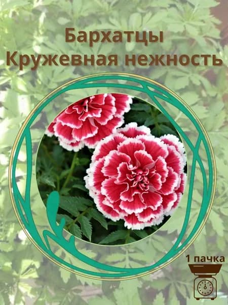 Бархатцы Кружевная нежность 10 шт. семян
