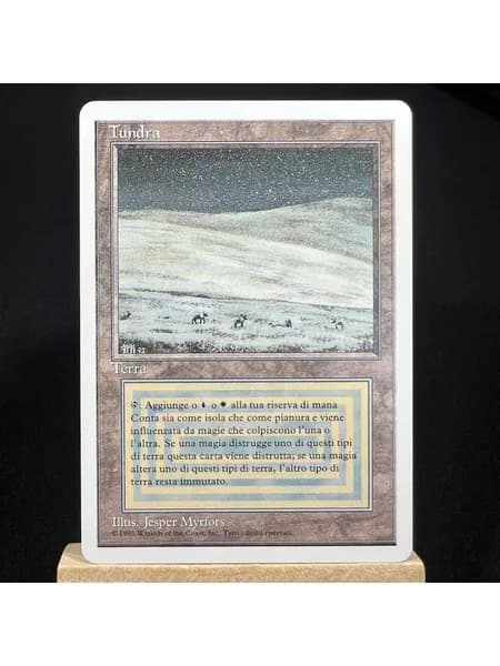 Заголовок: Волшебство в твоих руках: Уникальная карта Magic: The Gathering (MTG) с защитным протектором в подарок!