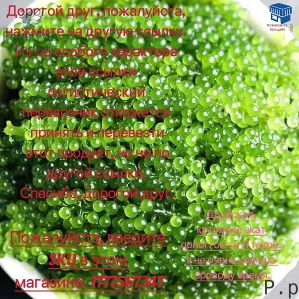 P.p-Морской виноград Уми Будо, Sea View, 100 г.
