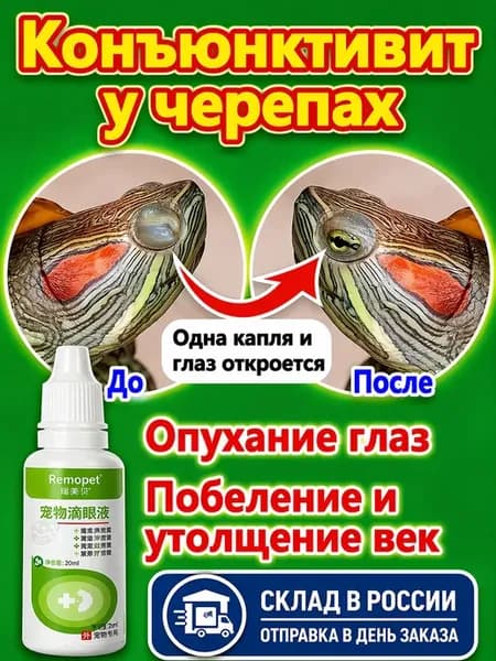 Глазные капли для черепахи