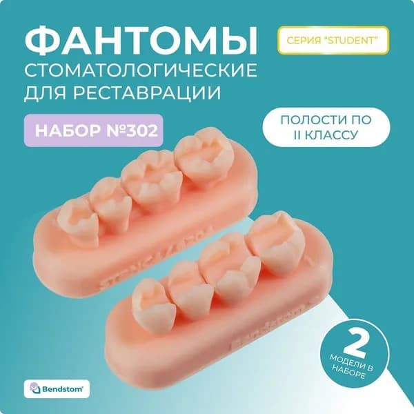 Набор №302 жевательные блоки Student (2 штуки) препарированные по II классу, большие полости / модели для реставрации / стоматологический тренажер
