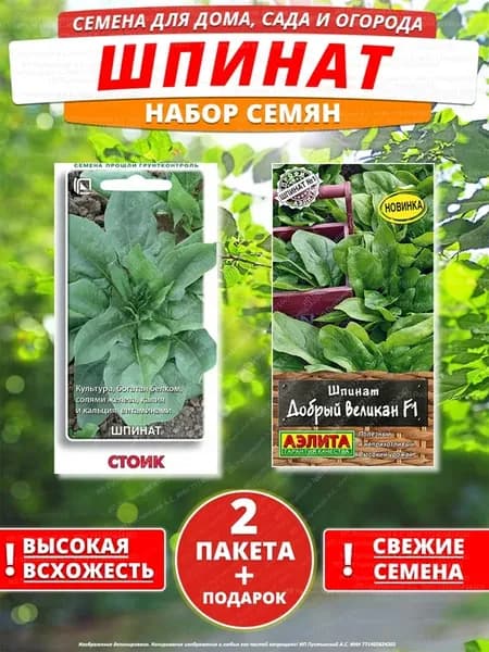Семена шпинат для дома сада посадки