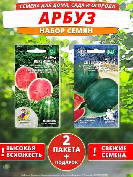 Семена арбуз для дома сада посадки