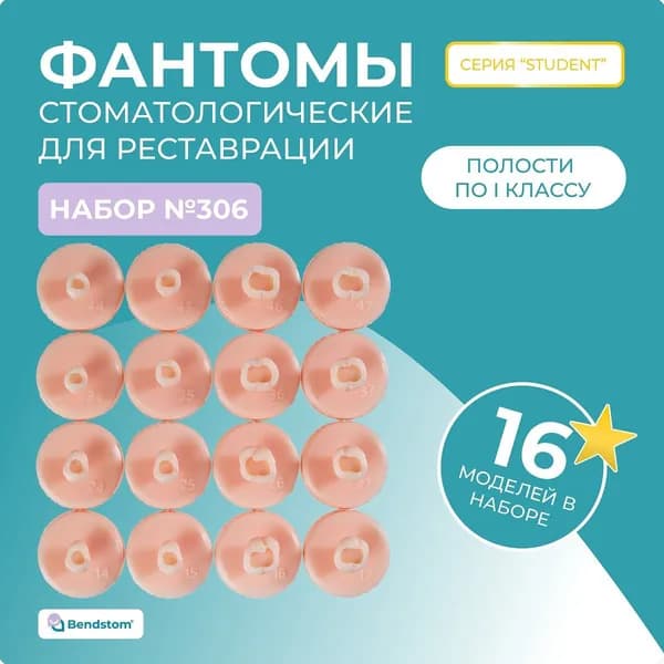 Набор №306 все жевательные зубы (16 штук) препарированные по I классу / модели для реставрации / стоматологический тренажер