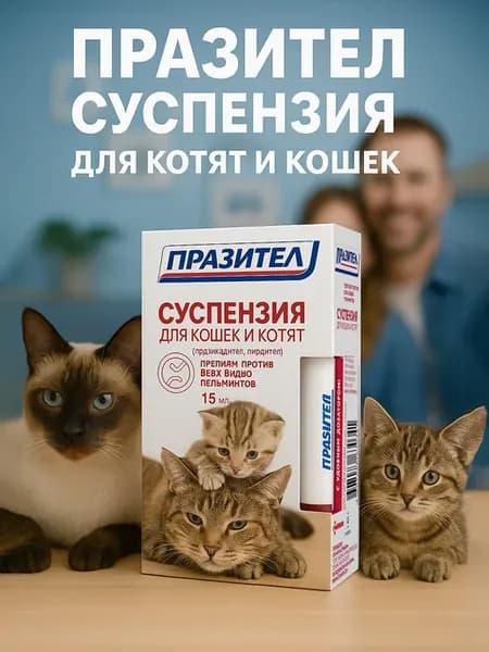 Празител для котят и кошек