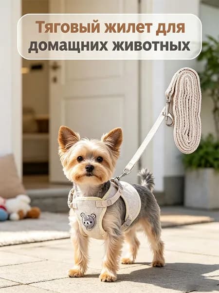 Тяговый жилет с мультяшным медведем для домашних животных AGB
