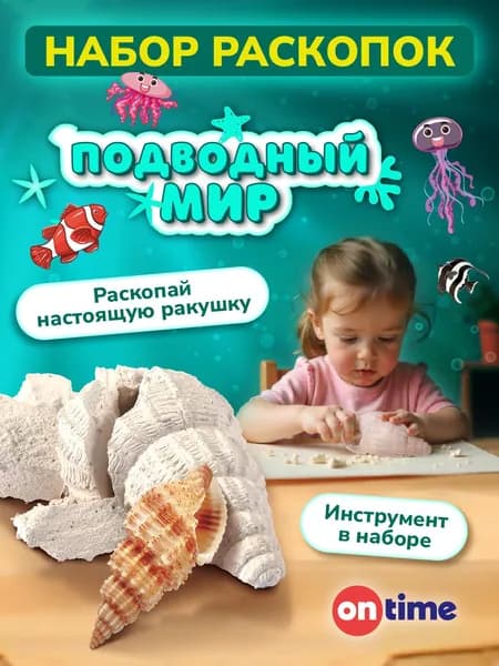 ON TIME Раскопки для детей ракушка , с фигуркой настоящей ракушки, 6+