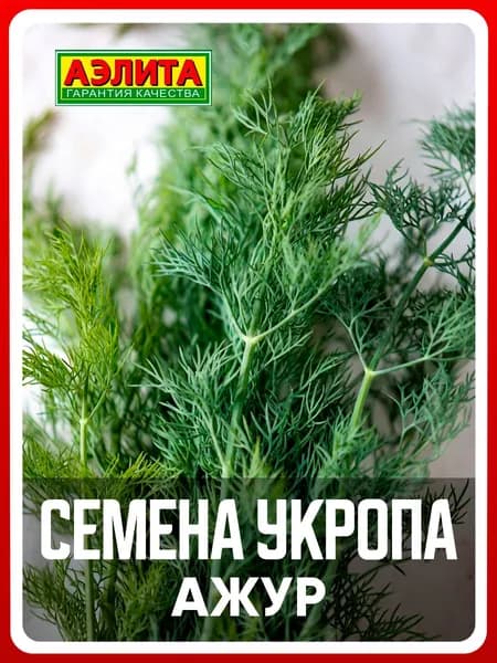 Семена укроп "Ажур", 2 г, для дома, дачи и огорода, укроп из семян, в открытый грунт