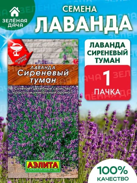 Лаванда семена многолетняя