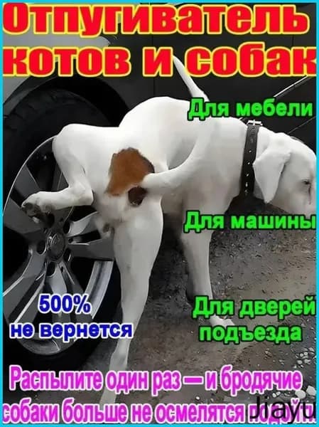 Спрей А-ТАК отпугиватель для собак эффективная защита от меток и порчи имущества.2ШТ, Быстрый результат.