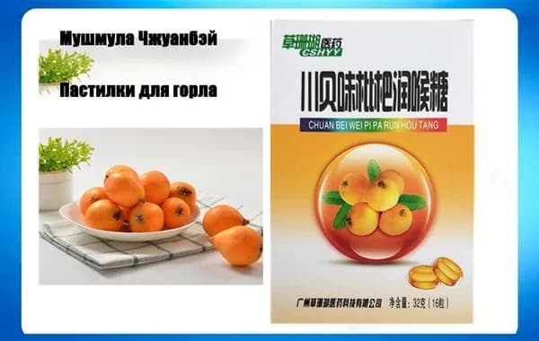 Пастилки из мушмулы Чжуанбэй для горла 1 коробка