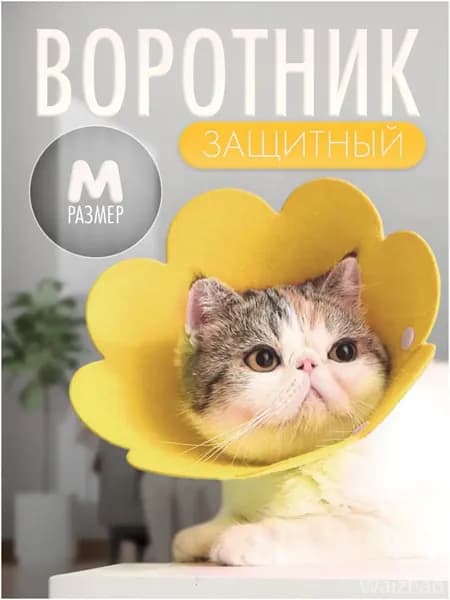 Премиумконус ветеринарный мягкий, используемый для защиты кошек и собак маленьких пород