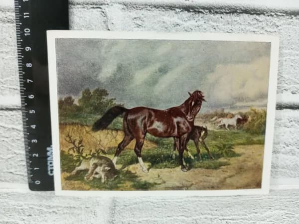 Канцелярия антикварная винтажная Открытка Кобыла с жеребенком и убитый волк