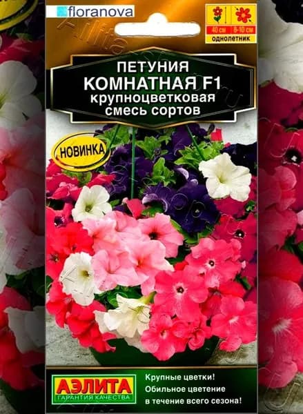 Петуния Комнатная F1 крупноцветковая, смесь сортов /7 шт семян