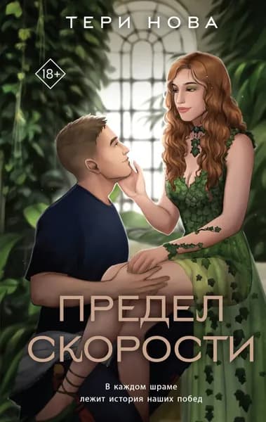 Предел скорости | Нова Тери | Электронная книга