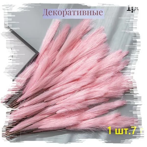 Сухоцветы Камышовая трава, 100 гр