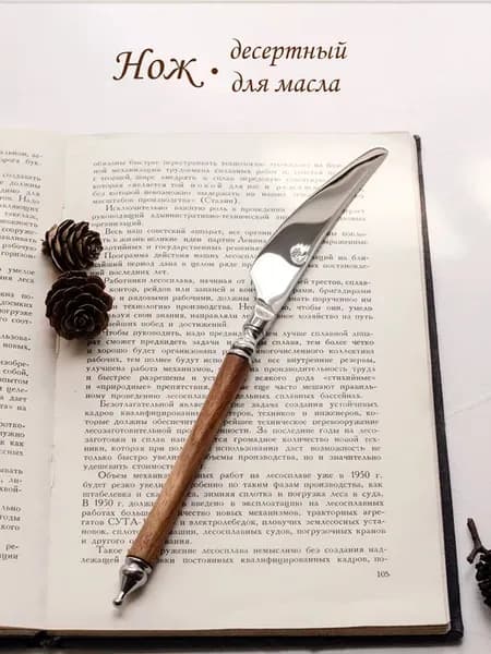 Нож для сливочного масла Аристократ сервировочный