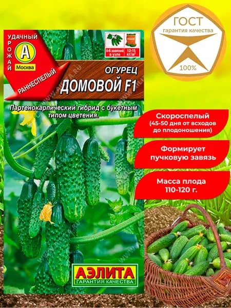Семена огурцов Домовой F1. Семена. Самоопыляемый, скороспелый, урожайный.