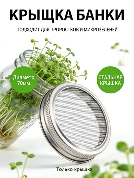 Проращиватель семян 1 шт