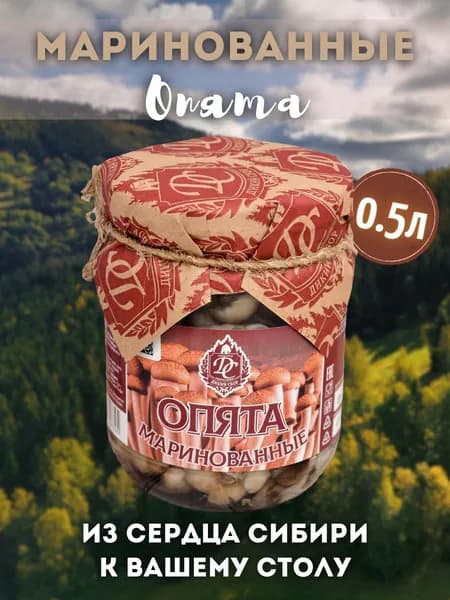 Опята маринованные в банке 0.5л Грибы. Урожай 2025!