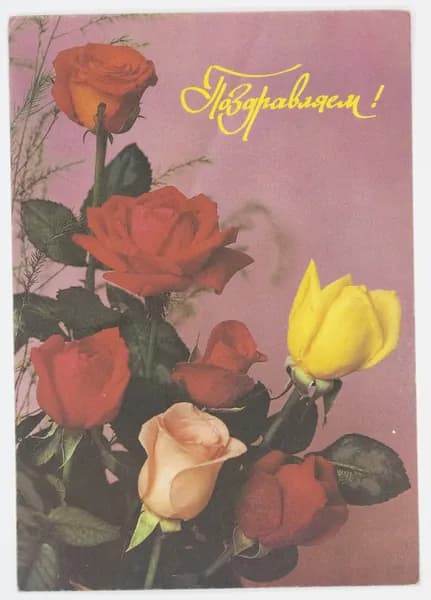 Открытка. "Поздравляем". Чистая. 1993 г. Фотокомпозиция Б. Круцко.
