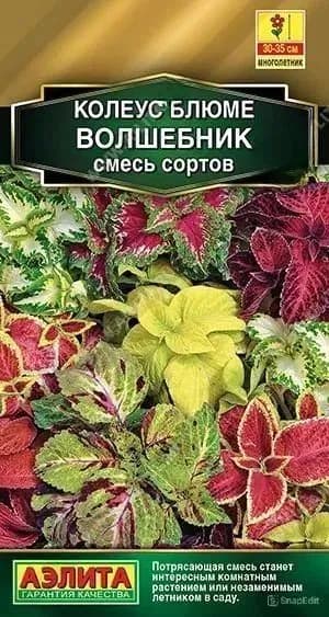 Колеус блюме "Волшебник" смесь сортов, семена цветов Аэлита для балкона и огорода, 5 шт