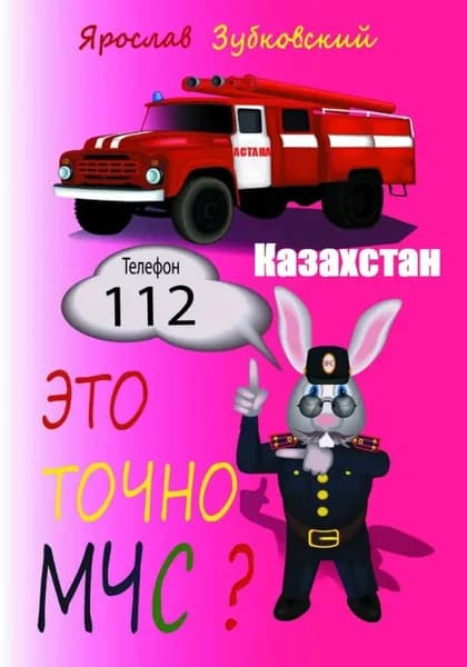 Это точно МЧС? Казахстан | Ярослав Николаевич Зубковский | Электронная книга