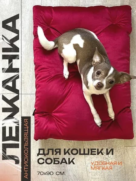 лежанка для животных