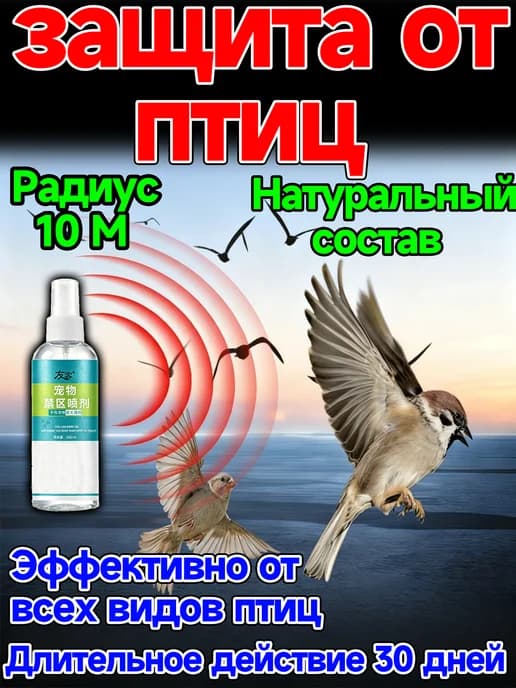 Эффективное отпугивание птиц, голуби