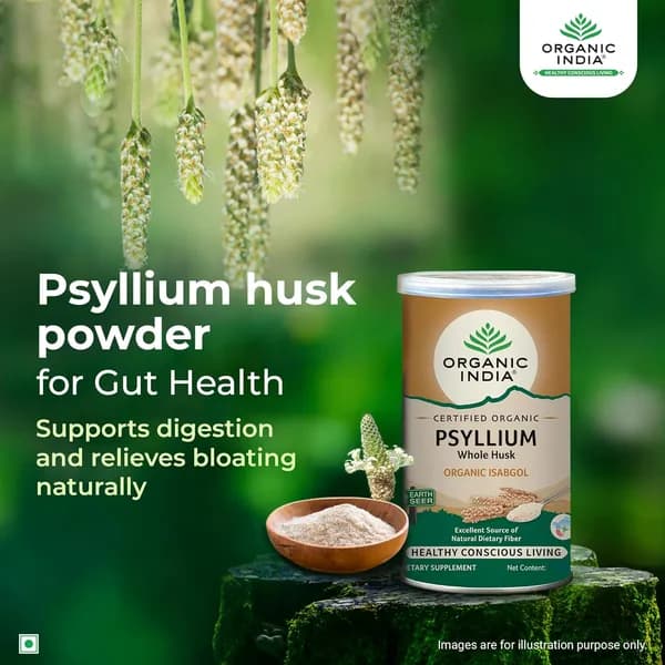 Organic India, Psyllium, порошок из шелухи семян подорожника (Псиллиум), клетчатка, 400 г(100x4)