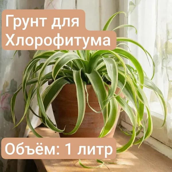 Грунт для Хлорофитума, 1 литр Обновлённая рецептура