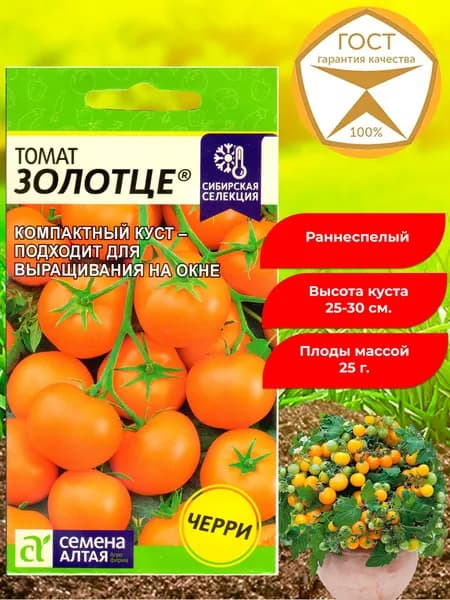 Семена томатов Золотце, черри. Томат низкорослый, раннеспелый, комнатный, балконный. Отличные вкусовые качества, ароматный.