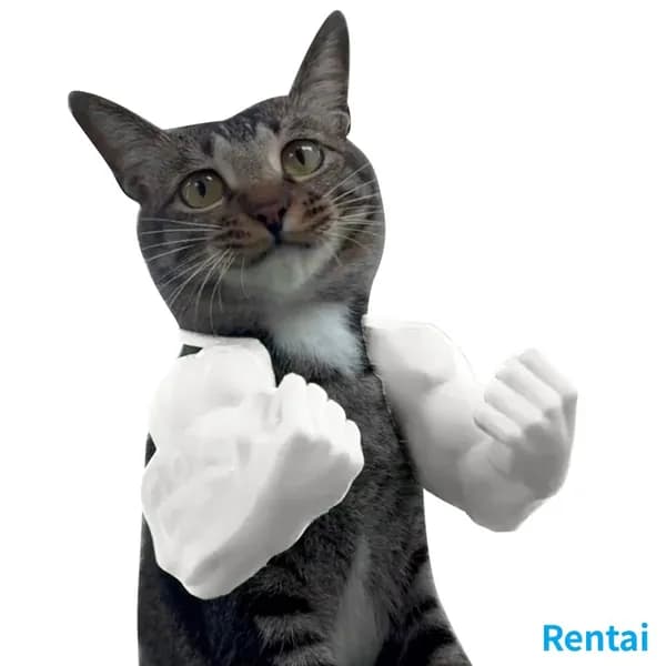 3D-печать мышечные руки для кошек на шею белого цвета