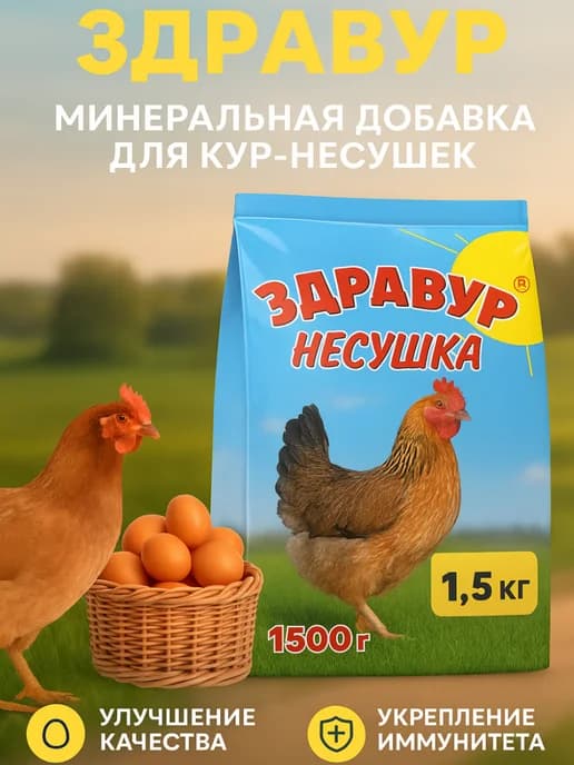 Витамины для кур несушек для яйценоскости Здравур