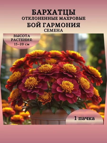 Бархатцы отклоненные махровые "Бой Гармония" семена, 1 пачка