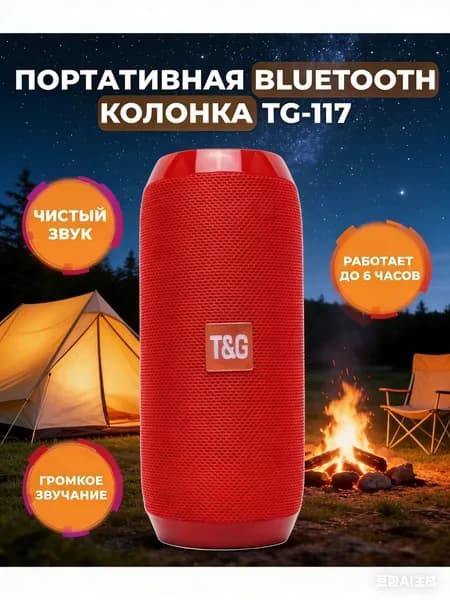 Портативная блютуз-колонка T&G TG-117