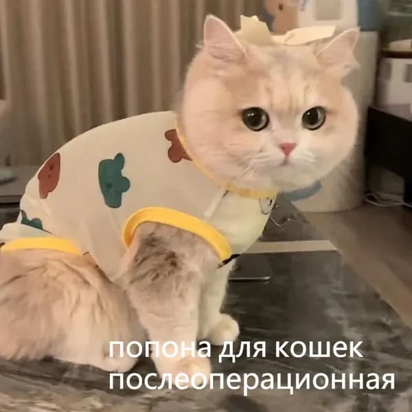 попона послеоперационная