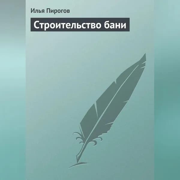 Строительство бани | Пирогов Илья | Электронная аудиокнига