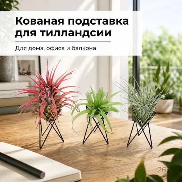 Опора для растений,7.5см,1шт