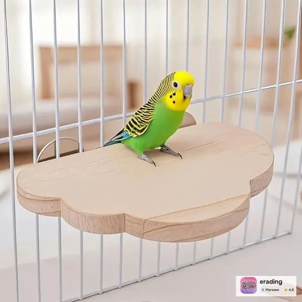 Игрушка для птиц. Игрушка-платформа из сосны для попугая